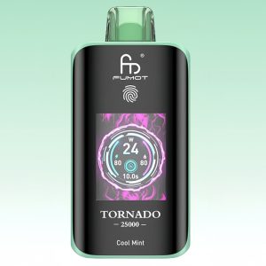 R and M Tornado 25000 Cool Mint Flavor - Randm Vape