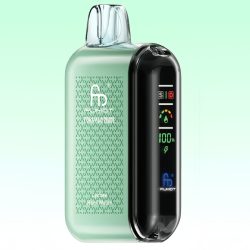RandM 20000 Lychee Hami Melon Vape 1 - Randm Vape