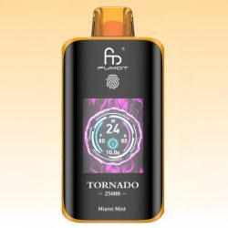 RandM 25000 Miami Mint Vape 1 - Randm Vape