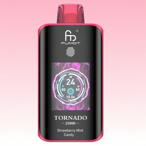 Randm 25000 Strawberry Mint Candy Vape - Randm Vape