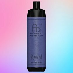 Randm Shisha 10000 Berry Mint Flavor 1 jpg - Al Fakher Vape