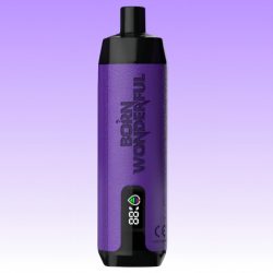 Randm Shisha 10000 Blueberry Raspberry Flavor 1 jpg - Al Fakher Vape