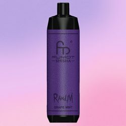 Randm Shisha 10000 Grape Mint Flavor 1 jpg - Al Fakher Vape