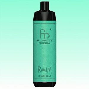 Randm Shisha 10000 Lemon Mint Flavor 1 1 jpg - Al Fakher Vape