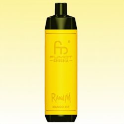Randm Shisha 10000 Mango Ice Flavor 1 jpg - Al Fakher Vape