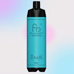 Randm Shisha 10000 Mint Flavor 1 jpg - Al Fakher Vape