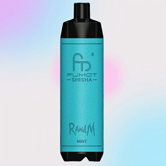 Randm Shisha 10000 Mint Flavor 1 jpg - Al Fakher Vape