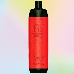 Randm Shisha 10000 Two Apple Flavor1 jpg - Al Fakher Vape
