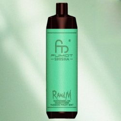 Randm Shisha 10000 Watermelon Honeydew Passion Fruit Mint Flavor 1 jpg - Al Fakher Vape