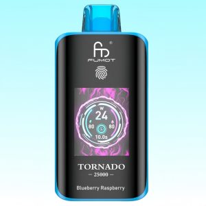 Randm Tornado 25K Blueberry Raspberry Flavor - Randm Vape
